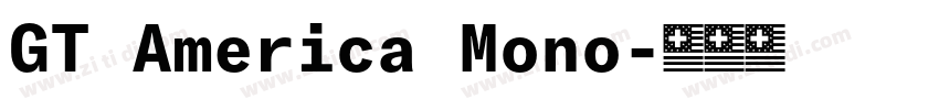 GT America Mono字体转换 GT America Mono字体转换